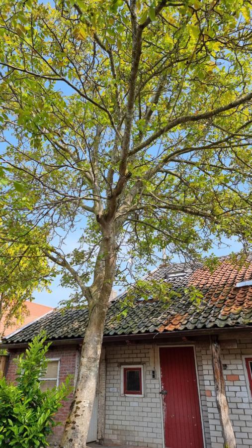 'T Bakuusje Kamperland Exterior foto